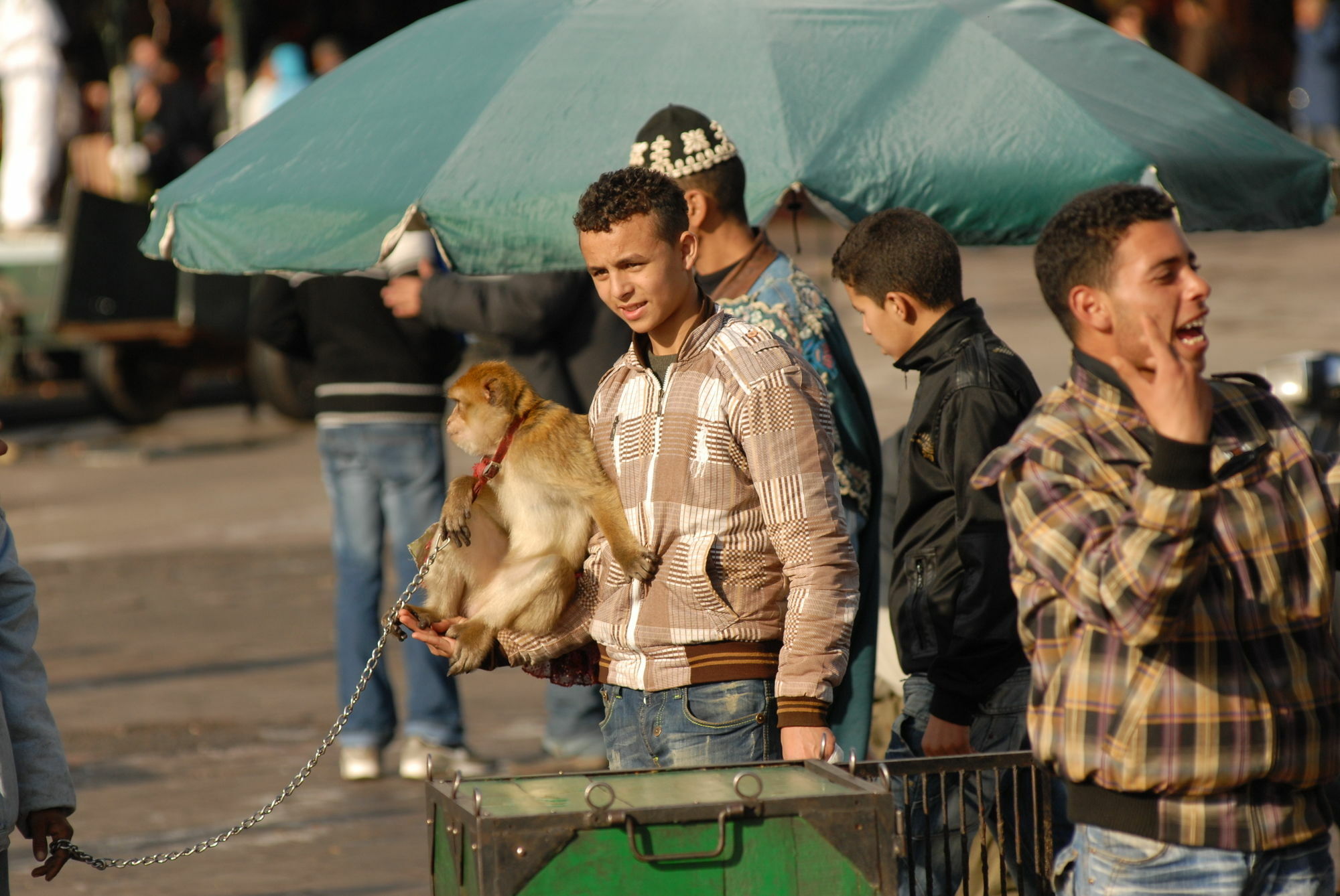 מרקש Riad Al Jana מראה חיצוני תמונה
